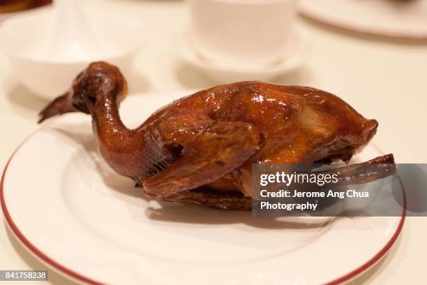 roasted pigeon - roast pigeon stock pictures, royalty-free photos & images