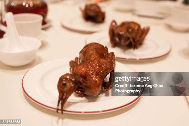 roasted pigeon - roast pigeon stock pictures, royalty-free photos & images