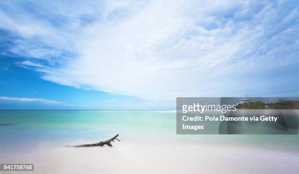 naples clam pass park beach at an amazing quiet ocean, florida, usa - naples beach stockfoto's en -beelden