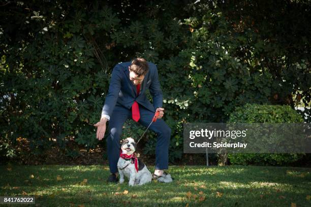 leben mit haustieren - geschäftsmann und hund morgenroutine - ignorieren stock-fotos und bilder