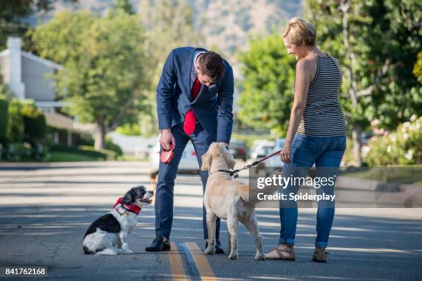 vivere con gli animali domestici - uomo d'affari e la routine del cane del mattino - vicino foto e immagini stock