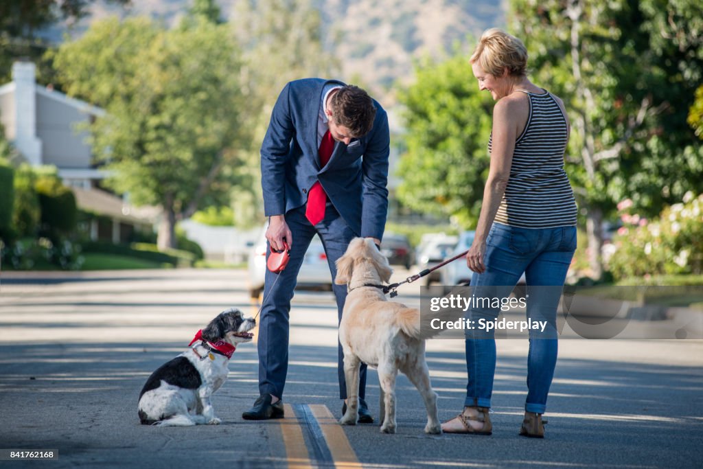 Living with Pets - Businessman and the Morning Dog Routine