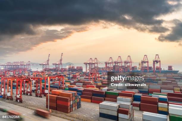shanghai containerterminal in de zonsondergang - china economy stockfoto's en -beelden