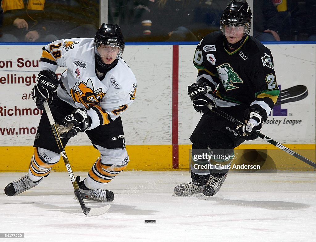 Sarnia Sting v London Knights