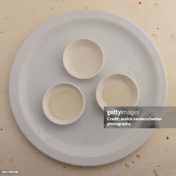 a gel, a foam and a sauce made each time from agar, water and lemon juice. - petri schaal stockfoto's en -beelden