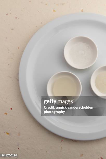 a gel, a foam and a sauce made from agar, water and lemon juice. - petri schaal stockfoto's en -beelden