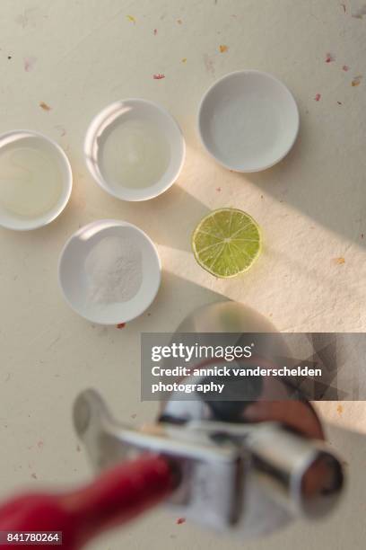 a gel, a foam, a sauce, agar powder, half a lime and gourmet whip. - petri schaal stockfoto's en -beelden