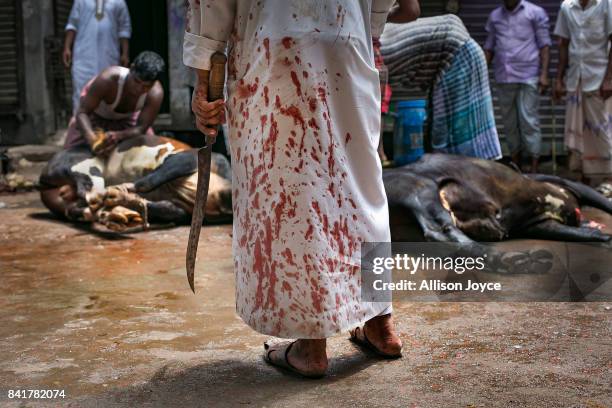 Man watches as cows are slaughtered on September 2, 2017 in Dhaka, Bangladesh. Muslims worldwide celebrate Eid Al-Adha, to commemorate the Prophet...