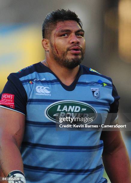 Nicholas Williams Rugby 636 Nick Williams Rugby Player Stock Photos, High-Res Pictures, and ...