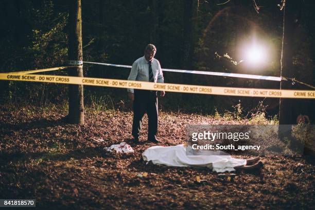 moord in het bos - hoofdcommissaris stockfoto's en -beelden
