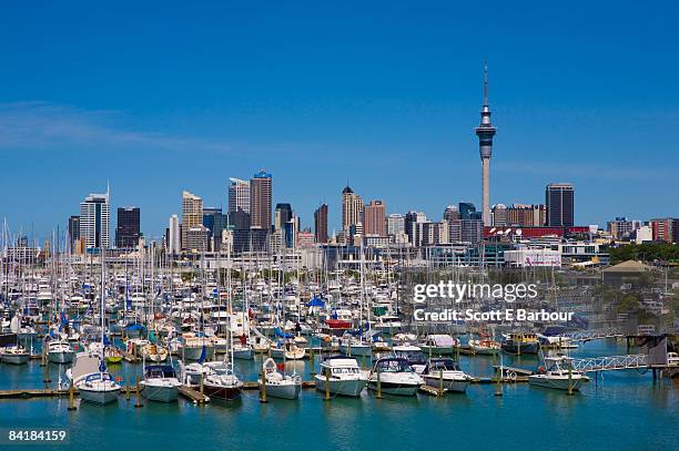skyline with sky tower and yachts at marina - auckland skyline stock pictures, royalty-free photos & images