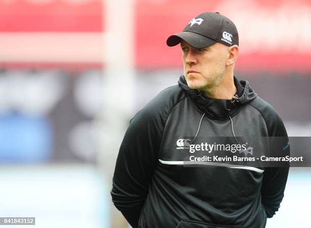 Ospreys' Head Coach Steve Tandy during the Guinness Pro14 match between Ospreys and Zebre at Liberty Stadium on September 2, 2017 in Swansea, Wales.