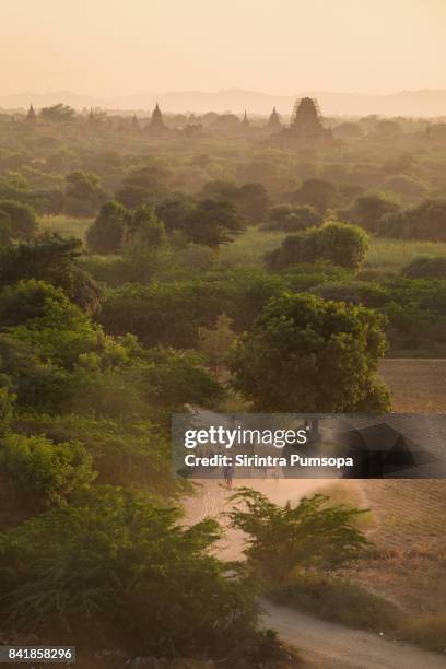 silhouette bagan pagoda in the sunset time, myanmar - bagan photos et images de collection