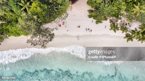 luchtfoto van anse takamaka - mahe island - seychellen - pjphoto69 stockfoto's en -beelden