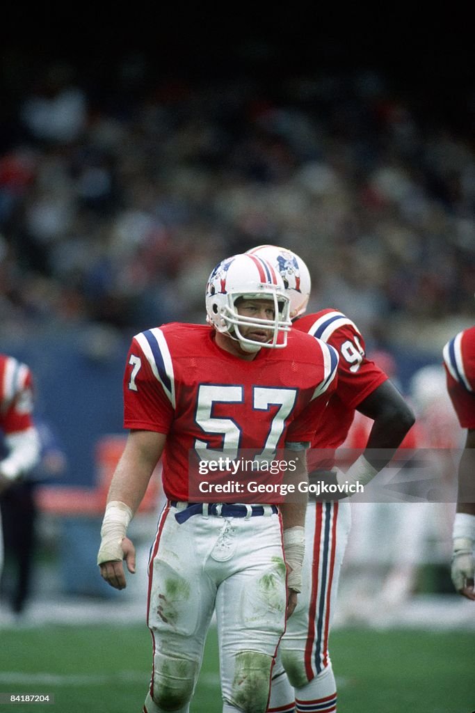 Steve Rollo Nelson Linebacker Steve Nelson of the New England Patriots looks on from the ...