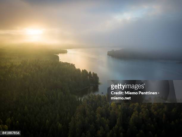 aerial view of a misty forest & lake landscape in finland during sunrise early on a summer morning - finnland stock-fotos und bilder