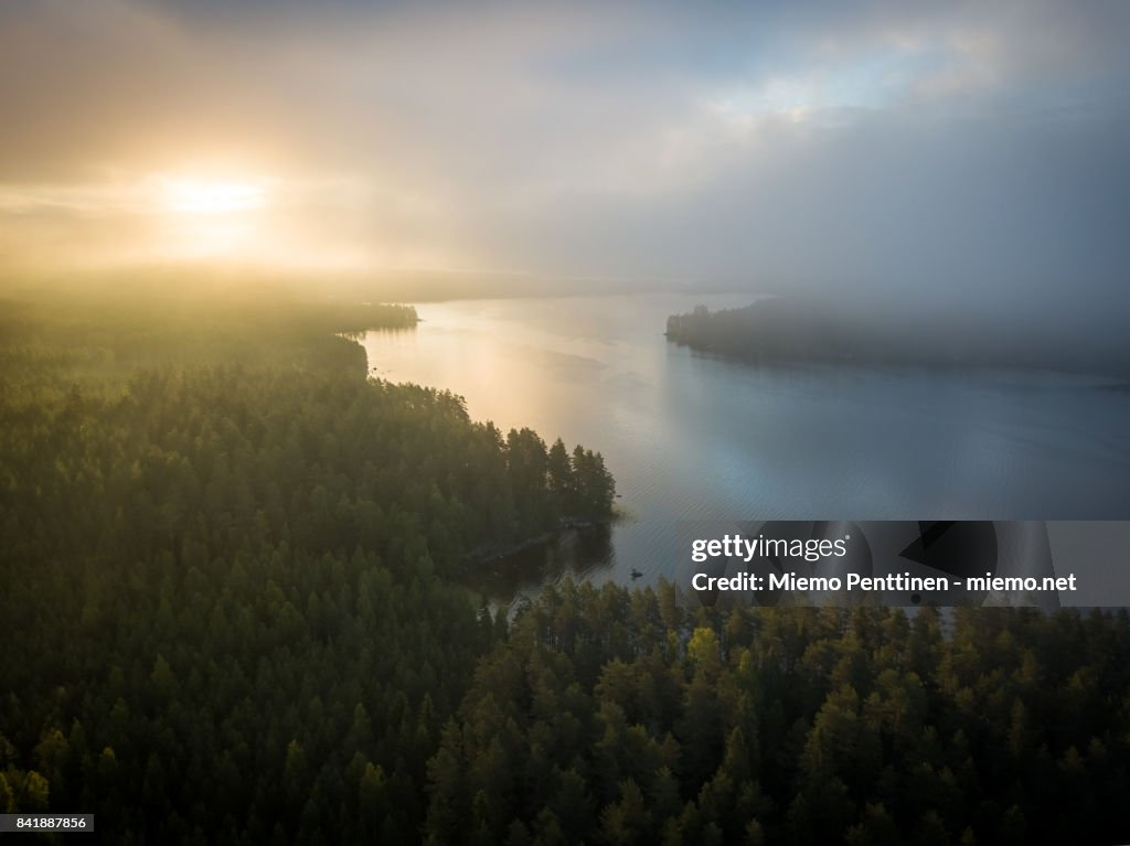 Aerial view of a misty forest & lake landscape in Finland during sunrise early on a summer morning