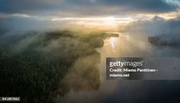 aerial view of a misty forest & lake landscape in finland during sunrise early on a summer morning - midsummer finland stock pictures, royalty-free photos & images