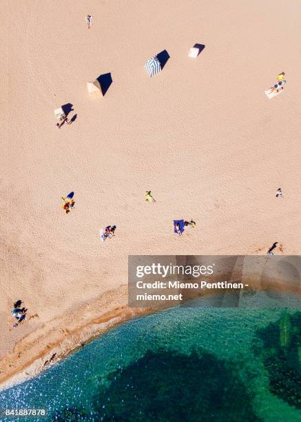 top-down aerial view of sunbathers on a beach in hanko, southern tip of finland - finland summer stock pictures, royalty-free photos & images