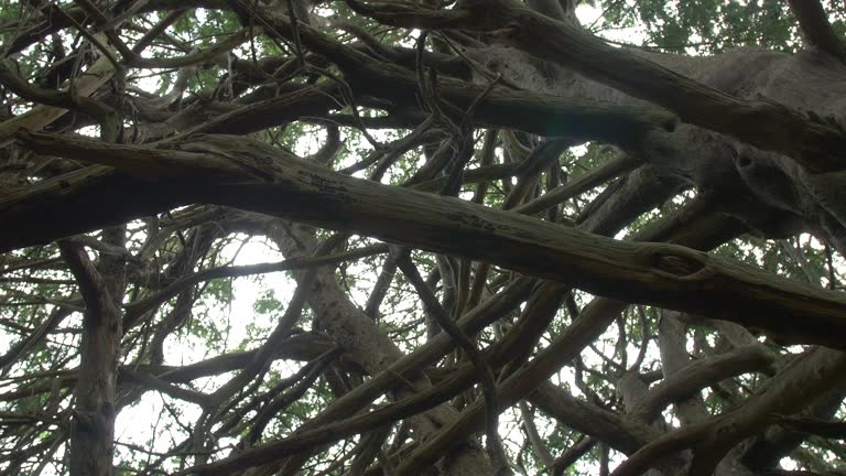 imagen en miniatura de vídeo