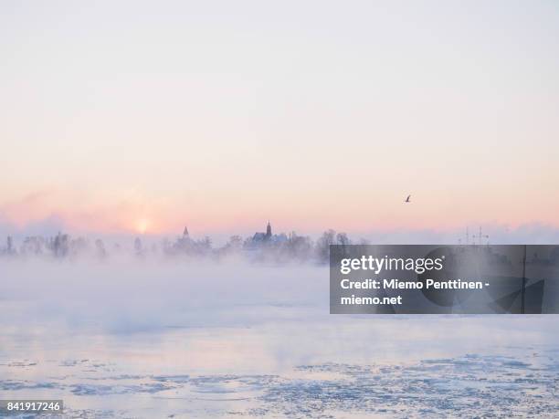 a freezing winter morning by the helsinki market square: sun coming up behind the mist rising from the frozen sea - birds in finland foto e immagini stock