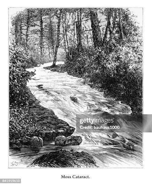 moss cataract, delaware river water gap, pennsylvania, united states, american victorian engraving, 1872 - paradise pennsylvania stock illustrations