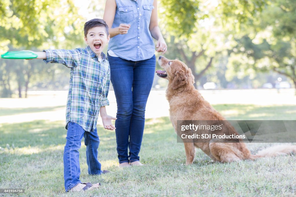 Boy throws plastic disc to dog