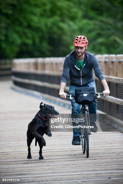 A Man Rides His Bike In The Forest With His Dog On A Wooden Pedestrian ...