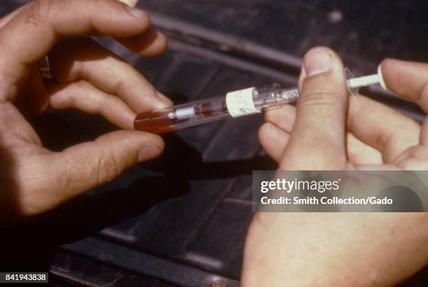 This technician is discharging a vertebrate blood sample from a syringe into a test tube to be tested later for arbovirus, 1974. Image courtesy CDC. .