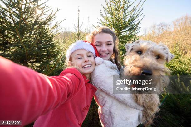 坦率的自拍照在聖誕老人的帽子與她妹抱著一隻狗的女孩 - animal selfies 個照片及圖片檔