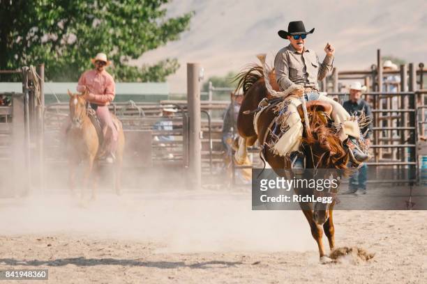 cowboy-lifestyle in utah - bucking horse stock-fotos und bilder