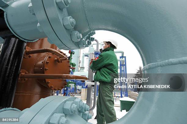 27 Hajduszoboszlo Stock Photos, High-Res Pictures, and Images - Getty ...