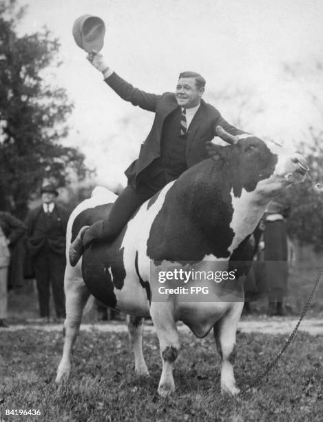 American baseball player Babe Ruth waves his cap while astride 'King Jess,' a Holstein bull, on an estate in Harrington Park, New Jersey, November 9,...