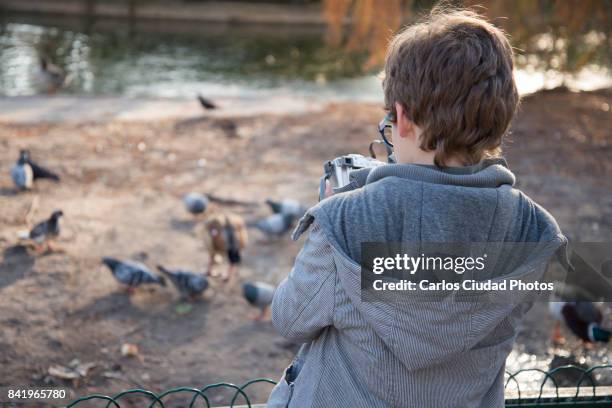 little boy photographing pigeons and ducks in a public park - ciudad creativa stock-fotos und bilder