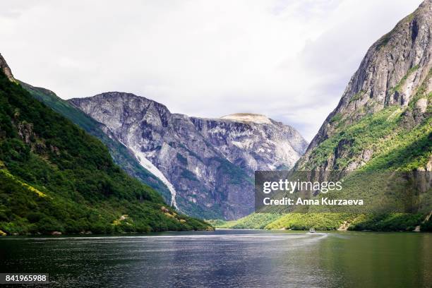 beautiful view of the fjord in norway - bergen norway stockfoto's en -beelden