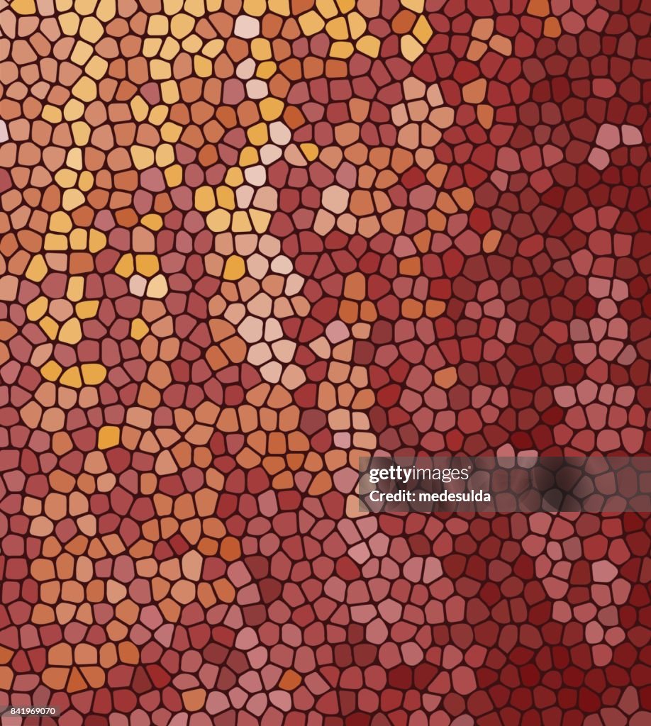 Simple Natural Patterns Vector Natural Pattern High-Res Vector Graphic - Getty Images