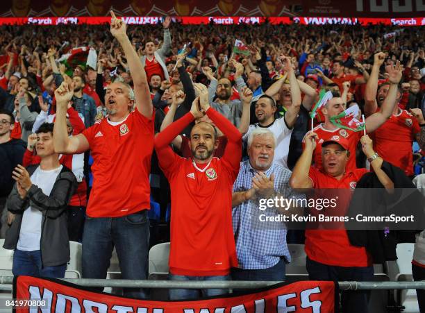 Wales fans celebrate at the final whistle during the FIFA 2018 World Cup Qualifier between Wales and Austria at Cardiff City Stadium on September 2,...