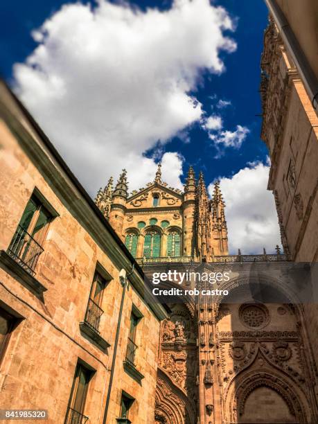 university of salamanca - salamanca fotografías e imágenes de stock