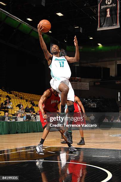 Bobby Jones of the Sioux Falls Skyforce gets a shot past Stanley Asumnu of the Rio Grande Valley Vipers at McKay Events Center during the NBA...