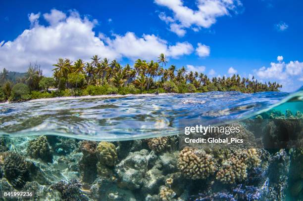 polinésia - sul do oceano pacífico francesa - pacific islands - fotografias e filmes do acervo