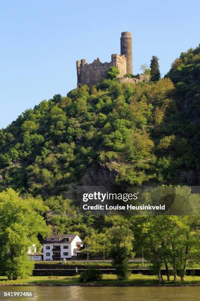 mouse castle, wellmich, germany - maus castle stock pictures, royalty-free photos & images