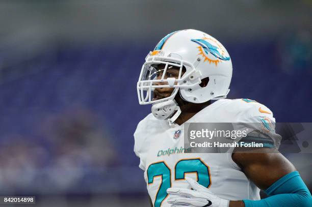 McDonald of the Miami Dolphins looks on before the preseason game against the Minnesota Vikings on August 31, 2017 at U.S. Bank Stadium in...
