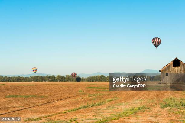hot-air balloons albany oregon art air festival landing field - willamette valley stock pictures, royalty-free photos & images