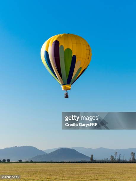 hot-air balloon albany oregon art air festival above field - willamette valley stock pictures, royalty-free photos & images