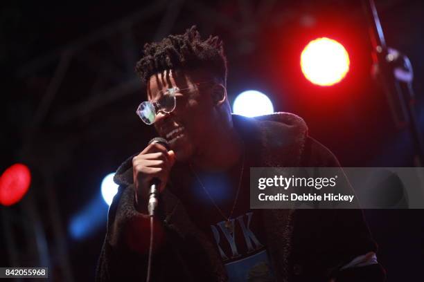 Jafaris performs at Electric Picnic Festival at Stradbally Hall Estate on September 2, 2017 in Dublin, .