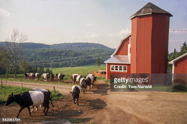 east albany, vermont-2 - vermont stock pictures, royalty-free photos & images