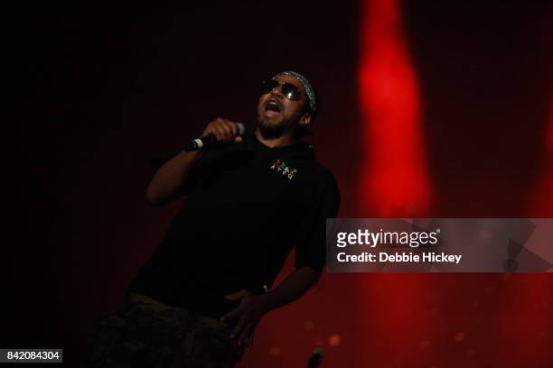 Tip of A Tribe Called Quest perform at Electric Picnic Festival at Stradbally Hall Estate on September 2, 2017 in Laois, Ireland. (Photo by Debbie...