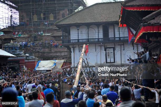 Log Pull Photos and Premium High Res Pictures - Getty Images