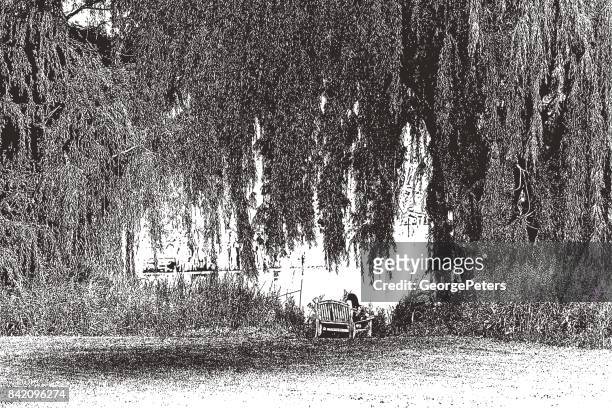 young woman resting on bench under a willow tree - willow tree stock illustrations
