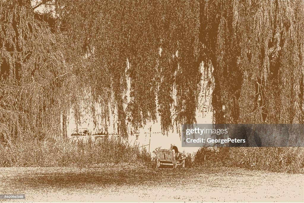 Young woman resting on bench under a willow tree